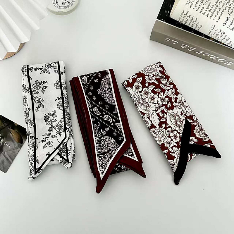 럭셔리 패션 여성용 스키니 실크 스카프 롱 헤어 스트립 - Ascot Neck Scarf 리뷰 및 가격
